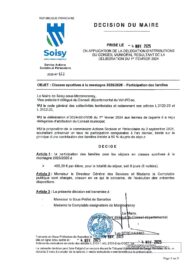 Agrandir l'image, fenêtre modale