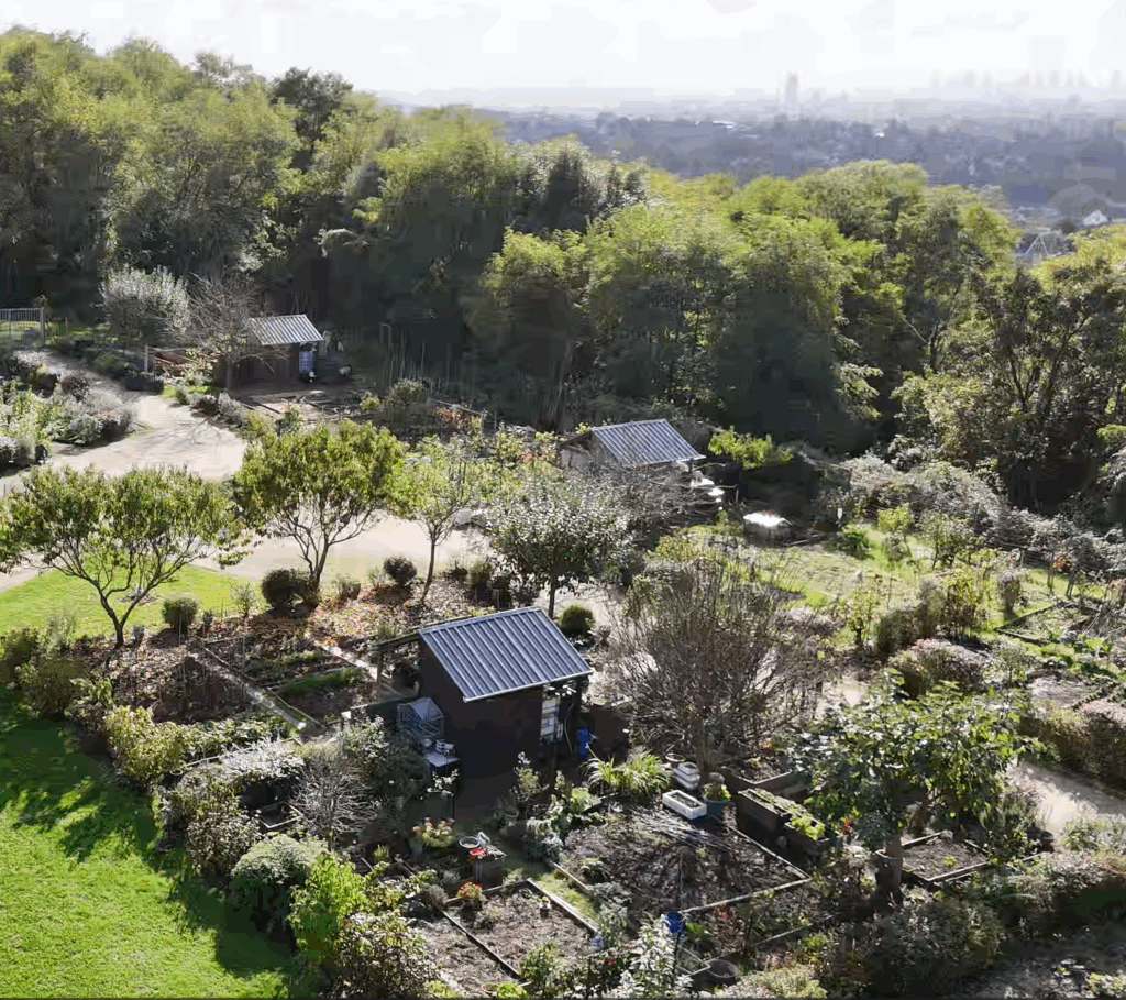 Agrandir l'image, fenêtre modale