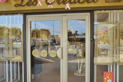 Agrandir l'image 5 sur 8, fenêtre modale