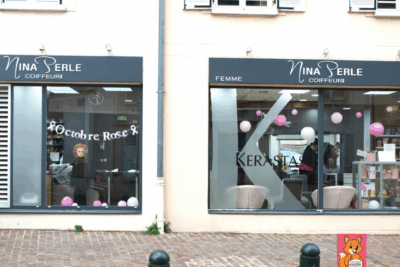 Agrandir l'image 6 sur 8, fenêtre modale