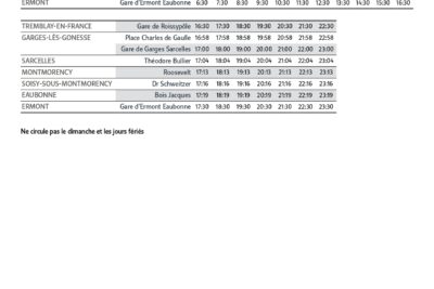 Agrandir l'image 4 sur 4, fenêtre modale