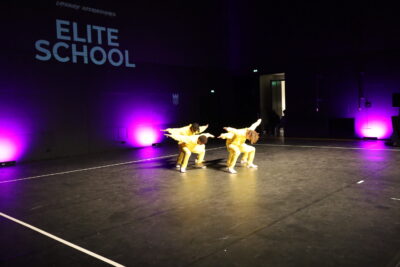 Agrandir l'image 48 sur 84, fenêtre modale