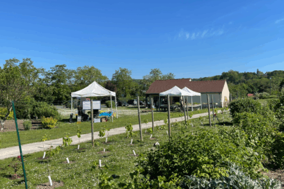 Agrandir l'image, fenêtre modale