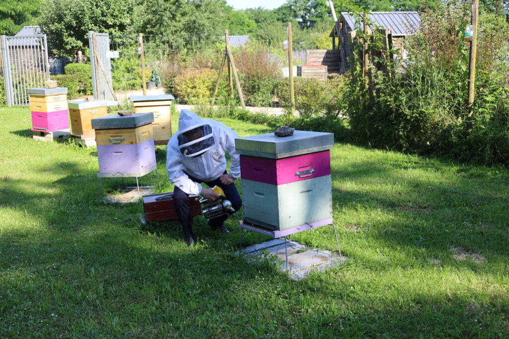 Agrandir l'image, fenêtre modale