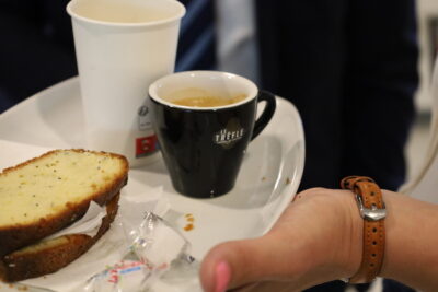 Agrandir l'image 9 sur 9, fenêtre modale