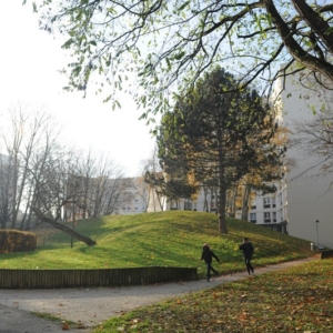 Quartier du Noyer crapaud